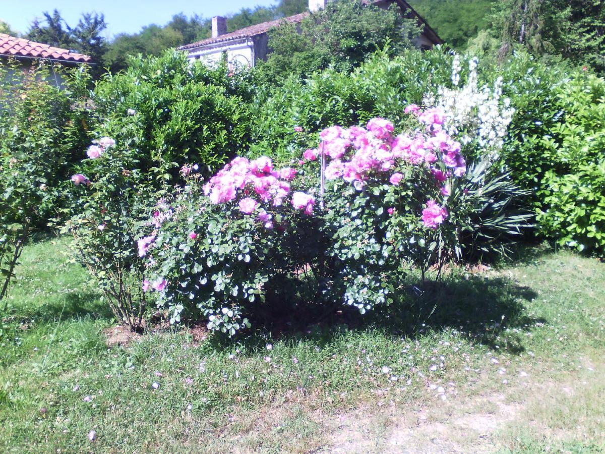 Caumont-sur-Garonne L'Ancien Patronageゲストハウス エクステリア 写真