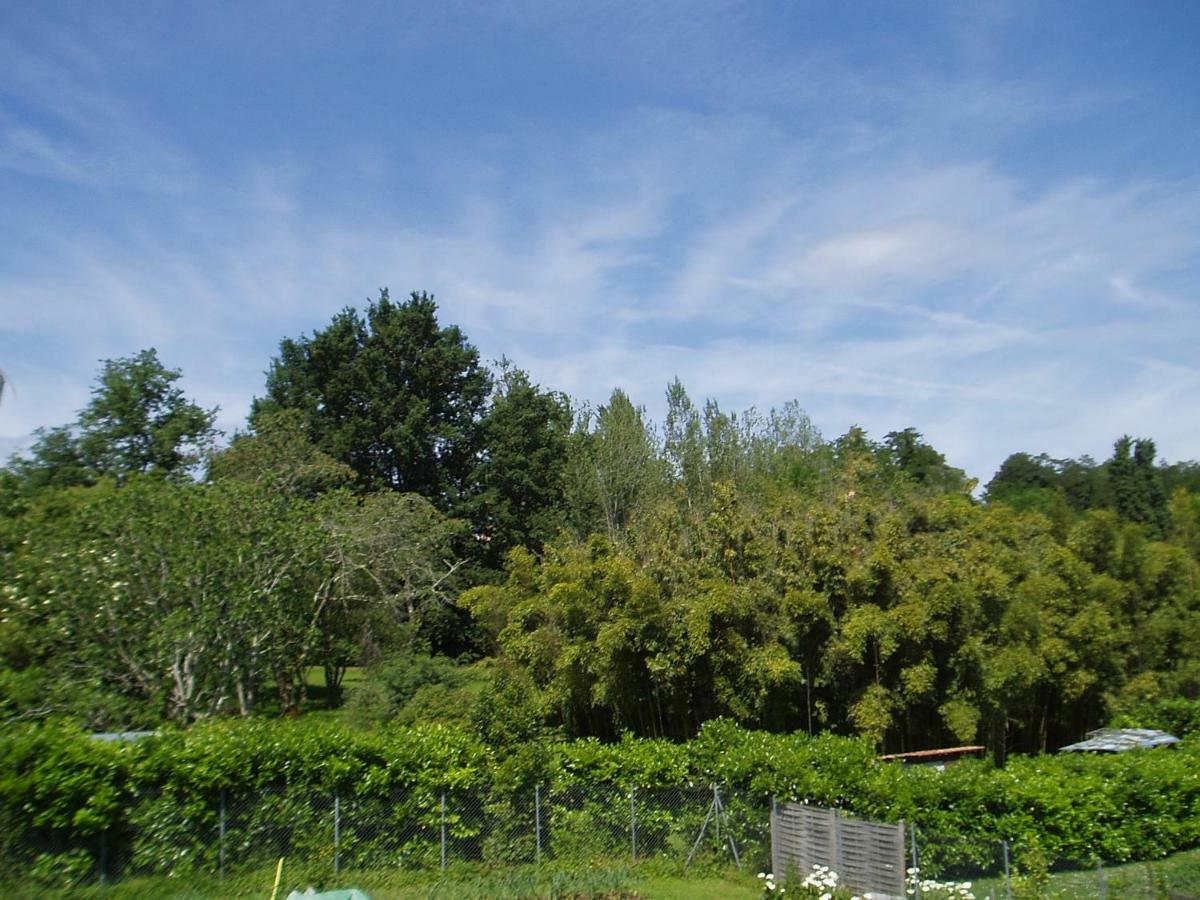 Caumont-sur-Garonne L'Ancien Patronageゲストハウス エクステリア 写真