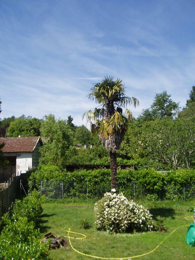 Caumont-sur-Garonne L'Ancien Patronageゲストハウス エクステリア 写真
